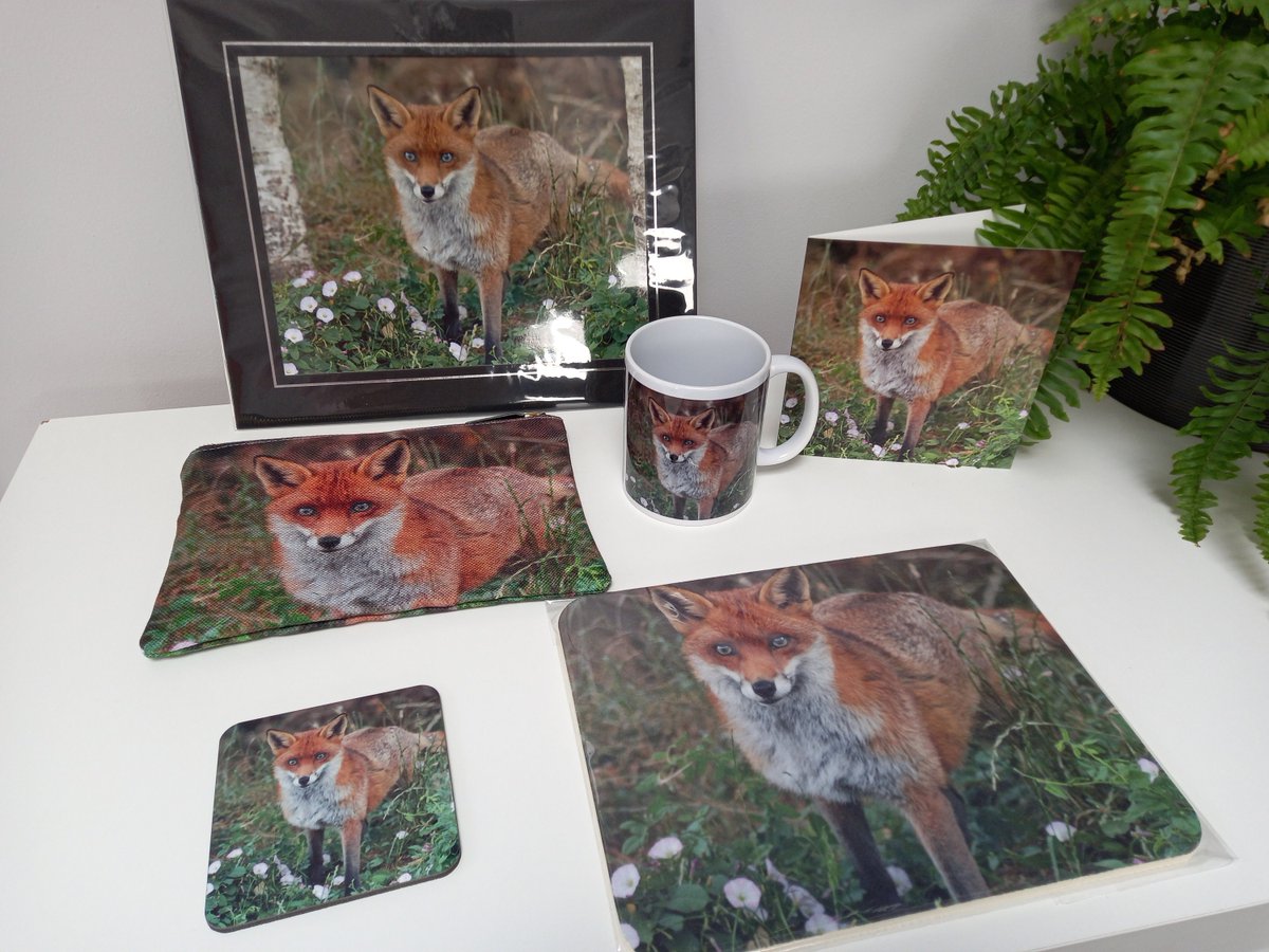PurduePrintsUK's tweet photo. Excited to share the Red Fox Collection to my #etsy shop: 
https://t.co/BBQqnAQrKv https://t.co/Y3N8kfjxee #fox #zipperpouch #pouch #cosmeticbag #makeupbag #pencilcase #mug #mousemat #coaster #card #print #fox https://t.co/1Rpx66Eh2O