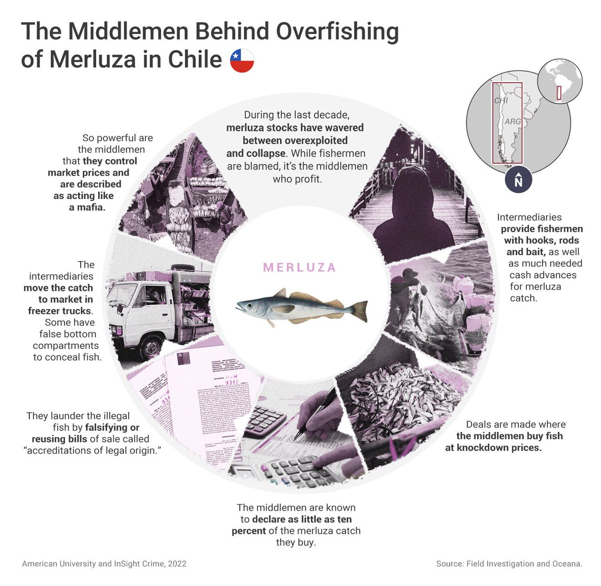 InSightCrime's tweet photo. #InSightFiles2022 | Intermediaries work deals to buy merluza at knockdown prices from Chile’s fishers.
Here’s how the scheme works. 👉 https://t.co/y7Bidghkz6 https://t.co/2tp3lXYC2I