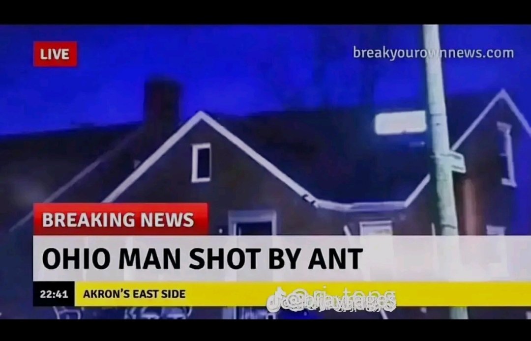 thodoris_bgs tweet media