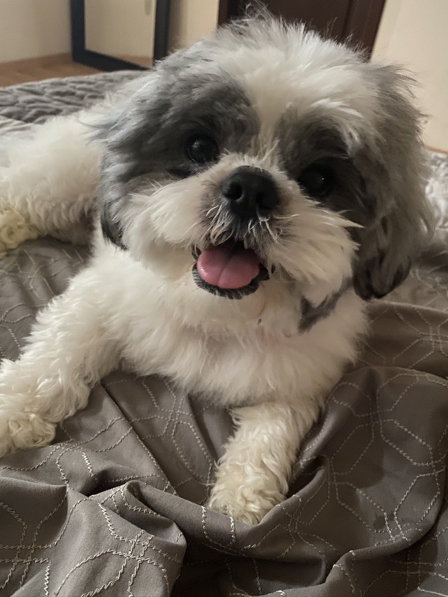 Te voy a extrañar mi bebe te amoo😔🤍
