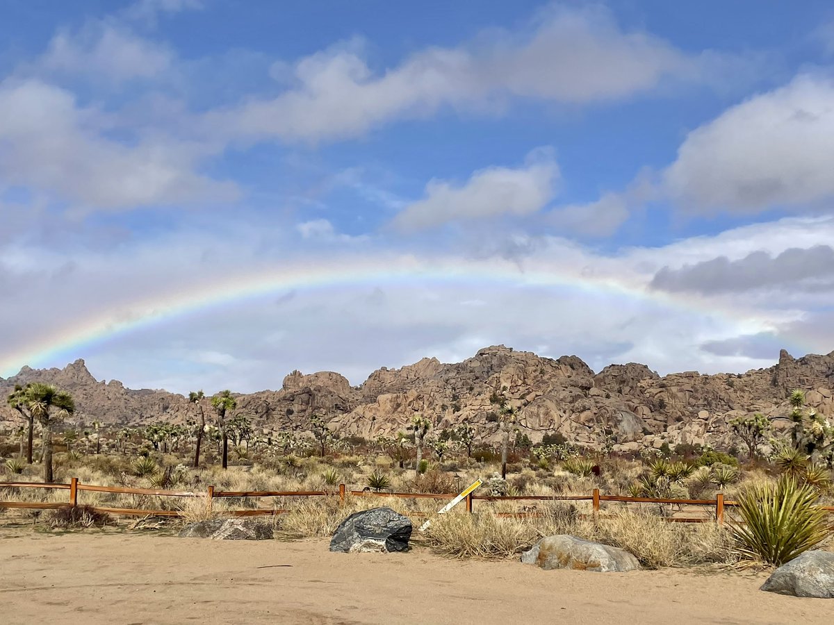 michelle tweet media