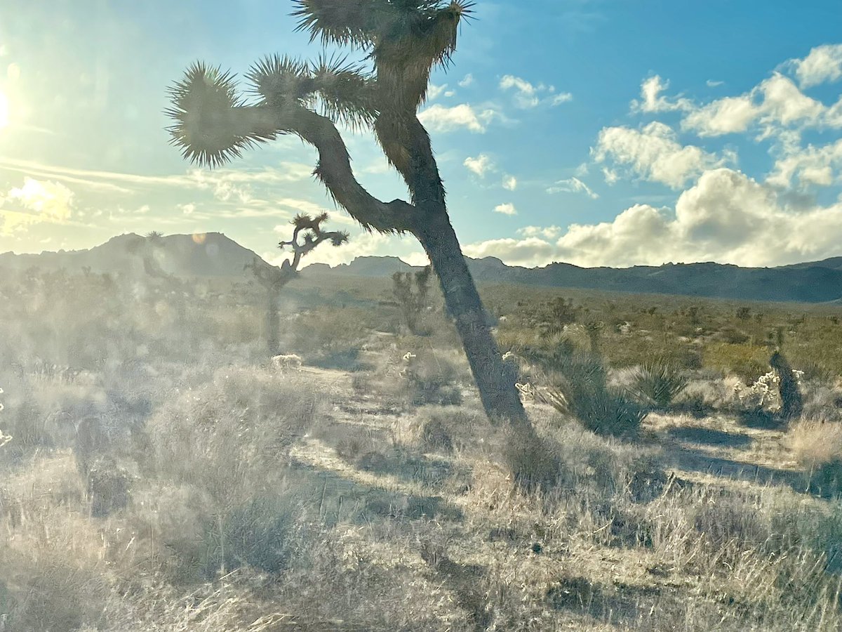 michelle tweet media