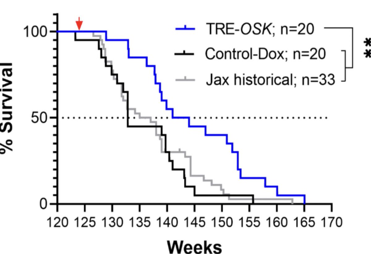 Old mice (= human 80) treated with age reprogramming OSK therapy are healthier and longer lived 😯 Will age reversal work in primates #lifebiosciences ? (Caveats: not yet peer reviewed &amp; x-axis doesn’t begin at 0) biorxiv.org/content/10.110…