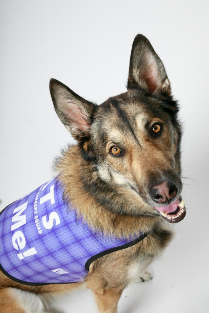 @DENAirport Maverick will be smiling on concourse A from 12-2 as well! #dencats