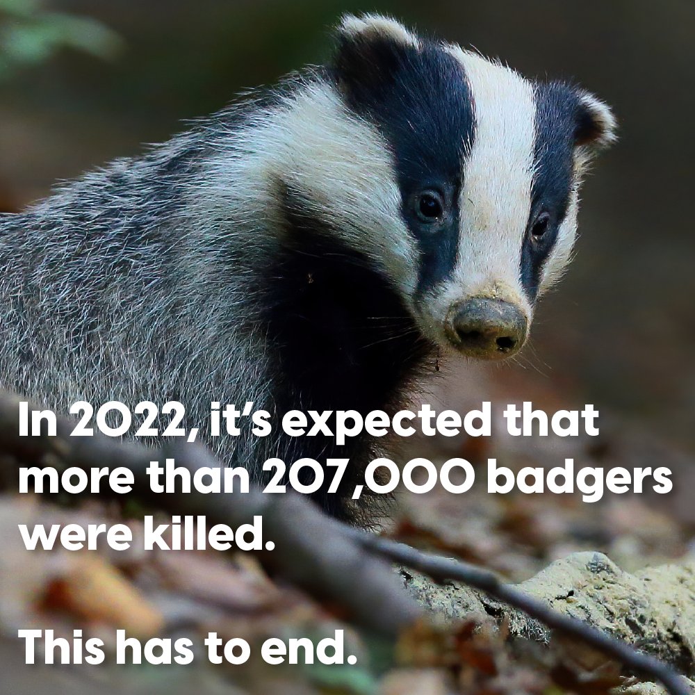 ProtectTheWild_'s tweet image. 