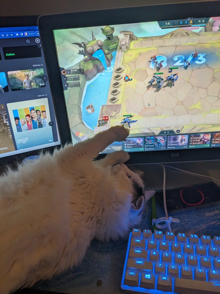 MissRiptide's tweet photo. @TFT He's the most suspicious. He also loves watching me play TFT😂😂 https://t.co/G4c14vdLWm