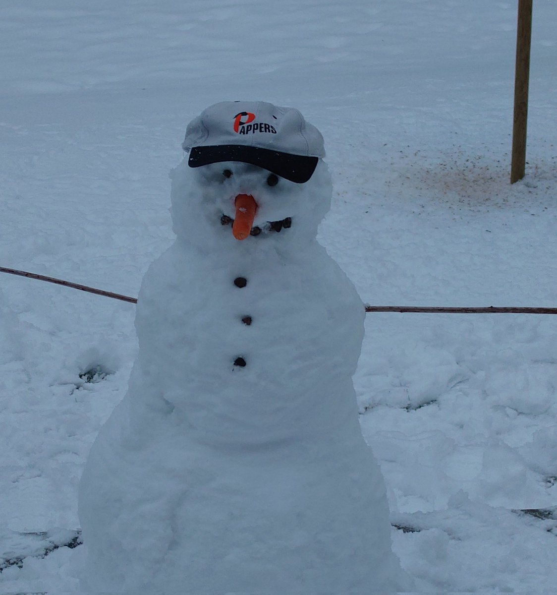 LinanderM's tweet image. Fixat en ny medlem till avd 3 😄⛄