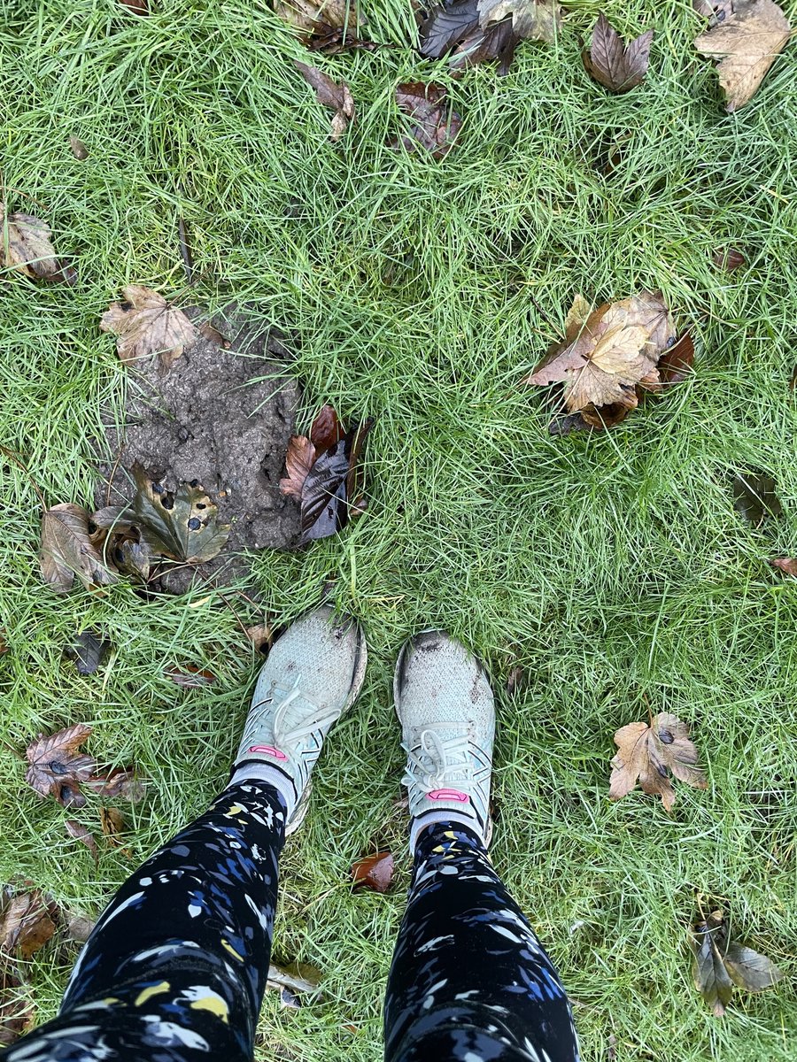 Thanks to the brilliant 30min pacer at <a href="/GPparkrun/">Gunnersbury parkrun</a> today who chatted and encouraged me round so that I got my first sub 30 in a while