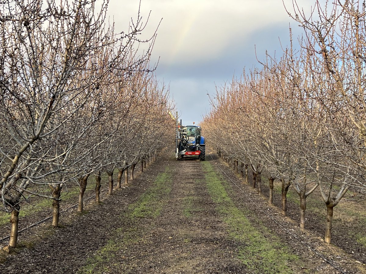 AlbertoVimar's tweet photo. Esta tarde hemos iniciado un ligero pase lateral y techo , solo ajustando el muro de los #Almendros #Vayro en #BajosAragón #caspe con la Prepodadora #FruitMurTopVimar #Prepodadorapolivalente #VimarFruitMurTop https://t.co/KToMrvtaey
