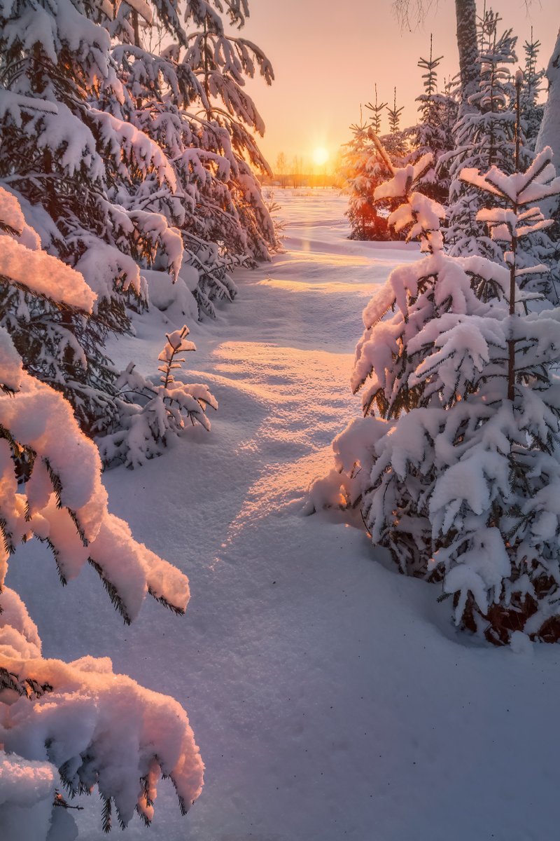 Photographer (@photo5065) on Twitter photo 