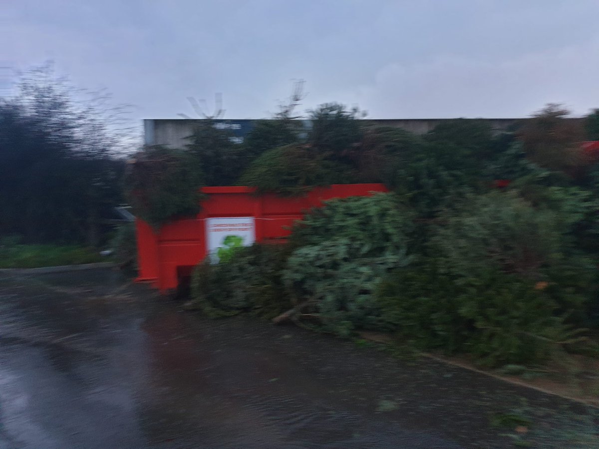 1stMatchborough's tweet photo. So 126 trees collected, and just shy of £900 raised.

Thank you all who helped and Robinson Tree Surgery for allowing us to drop them off.

@RedditchESU @11thRedditch @GSLChurchHill @1stRoyalEnfield @1stRedditch @ABankCarnival https://t.co/rEE0SGKYTq