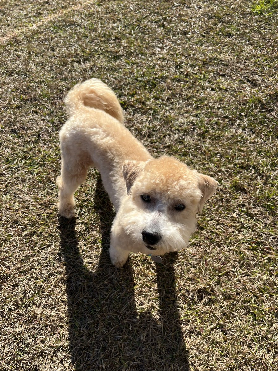 Denise Rob tweet media