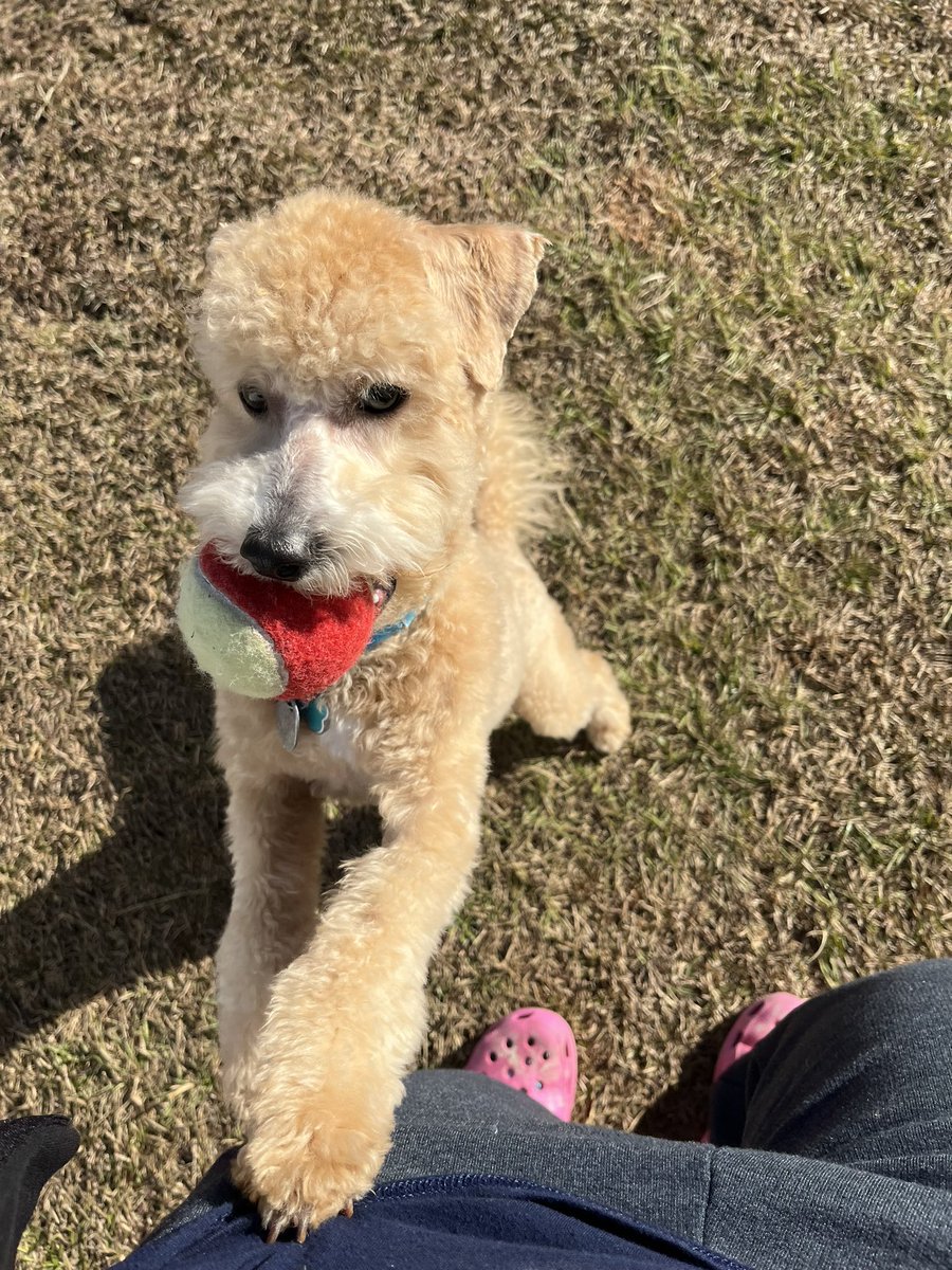 Denise Rob tweet media