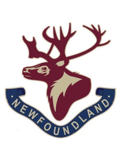 This account is no longer active. Follow <a href="/RNFLDRHockey/">RNFLDRHockey</a> for all the latest on The Royal Nfld Regiment Memorial High School Hockey Tournament. April 24-30, 2023. Paradise, NL #HockeyNL