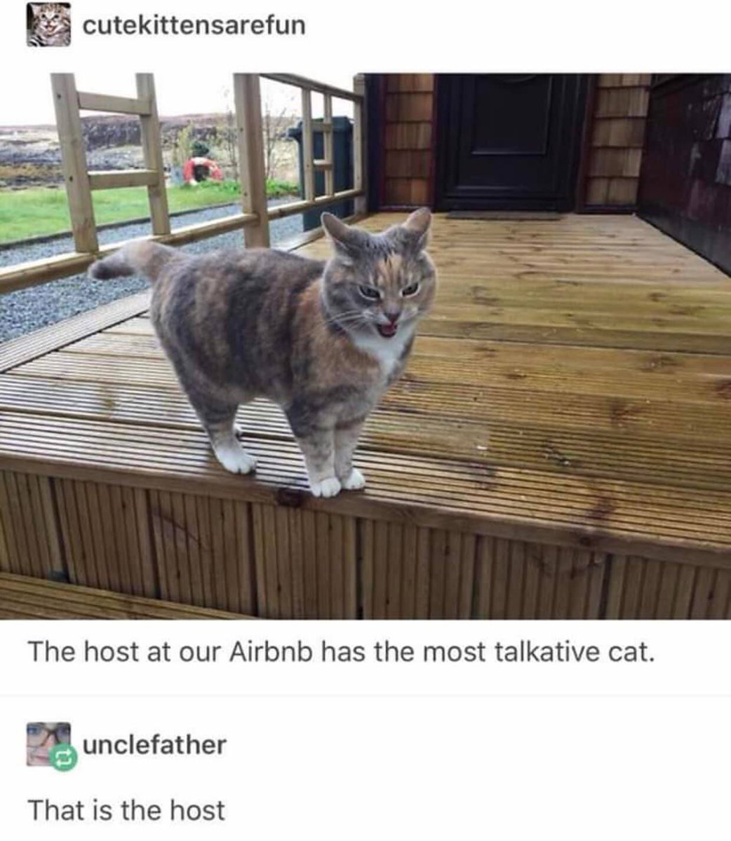 CatWorkers's tweet photo. https://t.co/G9ArQPBw6h
