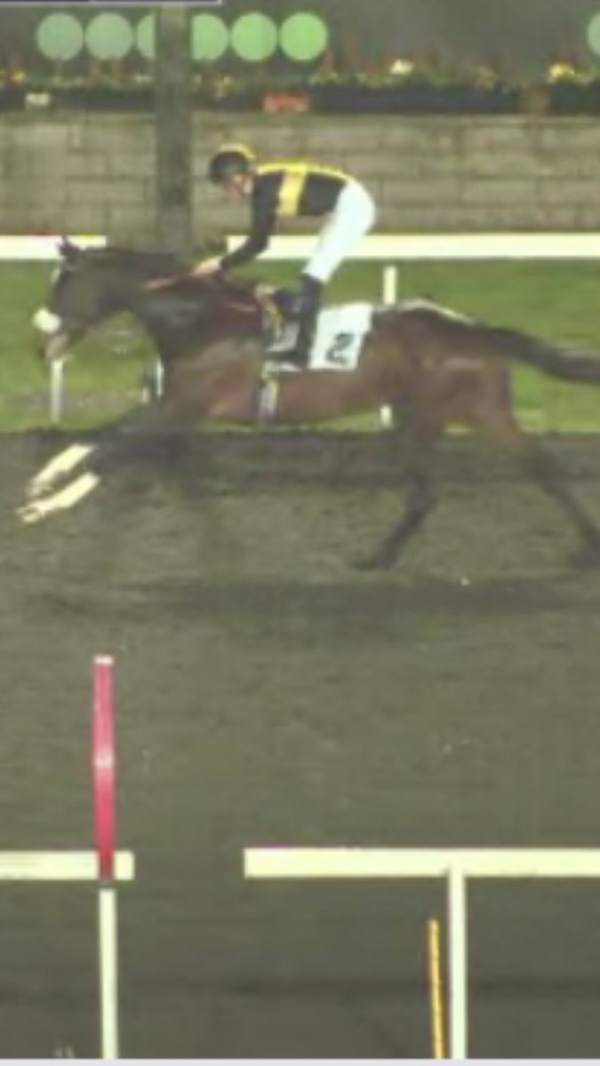 shugiehughie's tweet image. Cello by Intello x Make Music ( Acclamation ) #Kempton #AndrewBalding #DavidProbert . wins over the Im4f Derby Trip in the Mill Reef colours #HeadInChest … check those front white socks !!