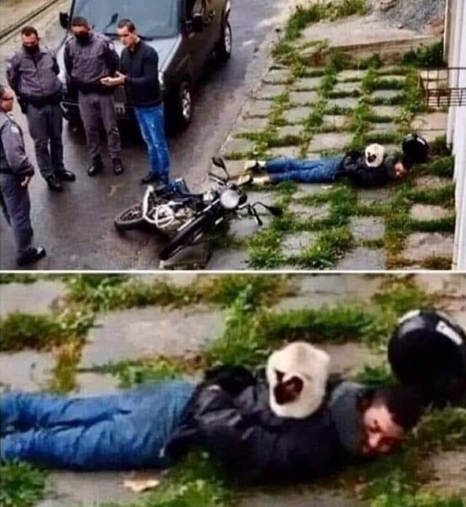 Imagine getting arrested then a cat just comes along and sits on you 🤣