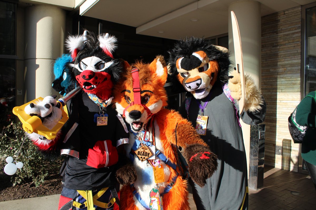 I may not have a sword but I am trained in the deadly art of the fox
📸<a href="/Buttermage_/">Buttermage</a>