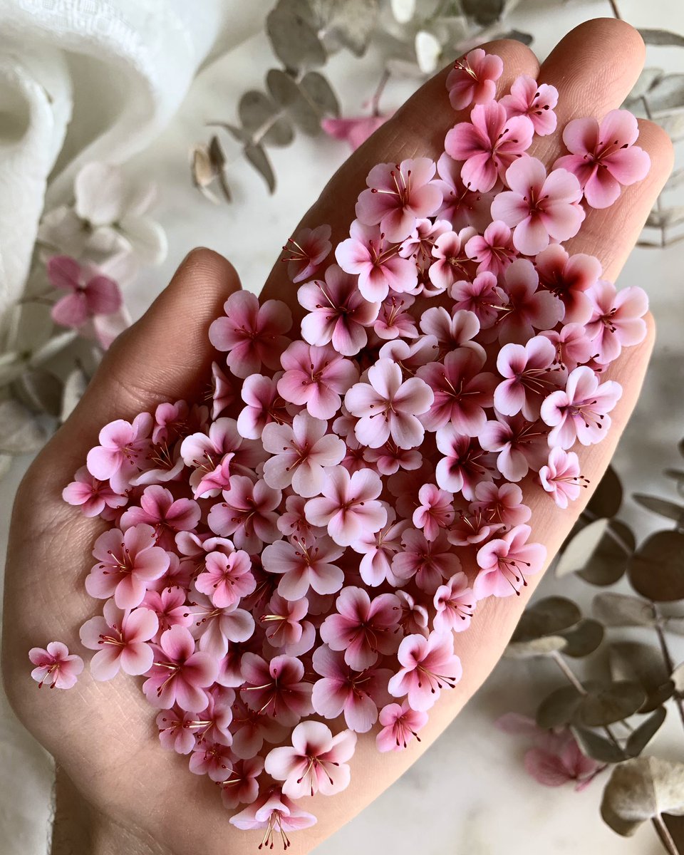 🌻 ari 🌻 tweet media