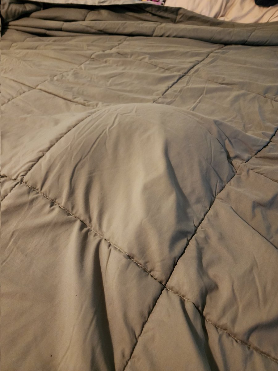 blakehopper's tweet image. There&apos;s no cat in this picture