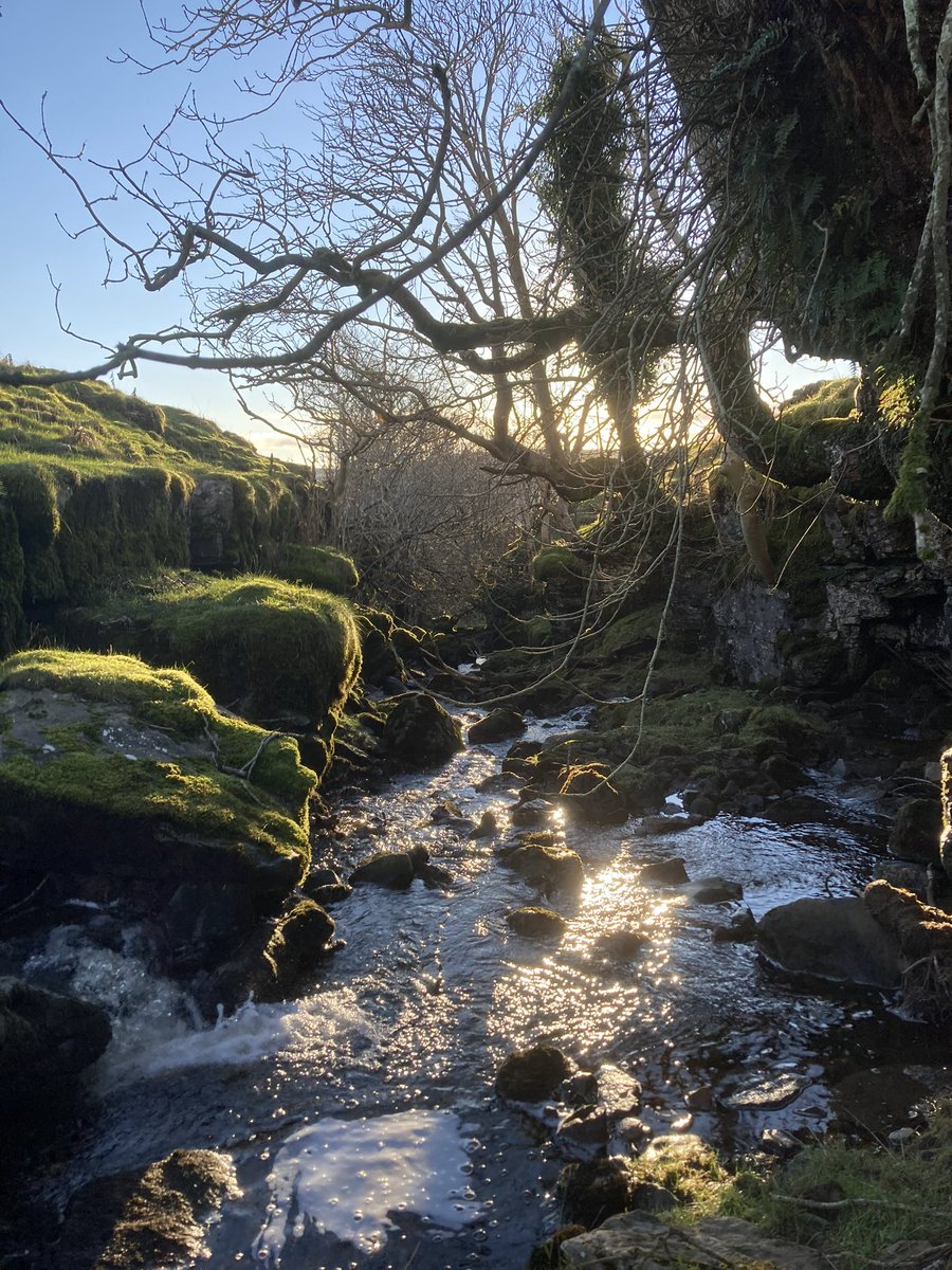 A cold #January day reveals hidden gems on short walks from our door. #mallerstang #streams #Cumbria #YorkshireDales #England #naturelovers