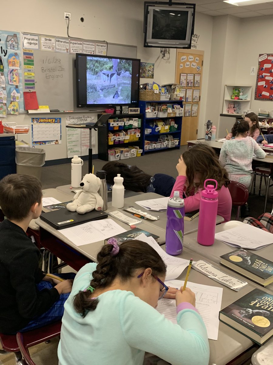 Started our week with <a href="/KMertenDLI/">Kate Merten</a> joining us to help us report “live” from Washington DC and ended the week studying animals via webcam to kick off our unit on The One and Only Ivan. Technology allows us to travel the world right from our classroom! #oakstories