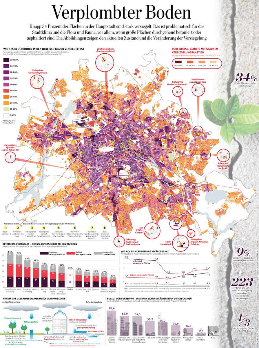 BM Infografik tweet media