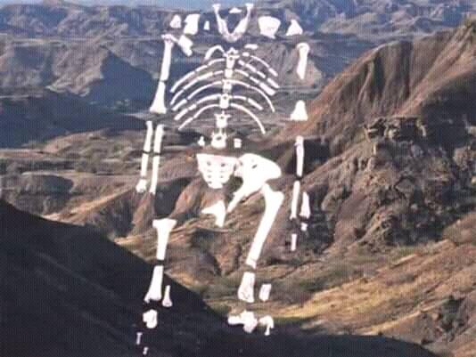 Exoticethiopian's tweet photo. ወደድንም ጠላንም ሁላችንም ብሄራችን አንድ ነው!!!
After many investigations, finally the whole world become Africa/Ethiopia!
#OneRoot, #OneNation, #OneTribe, #OneAncestor, #OneLove, #OneNation #Humanbeing
#VisitEthiopia https://t.co/xFxZAEUHyk