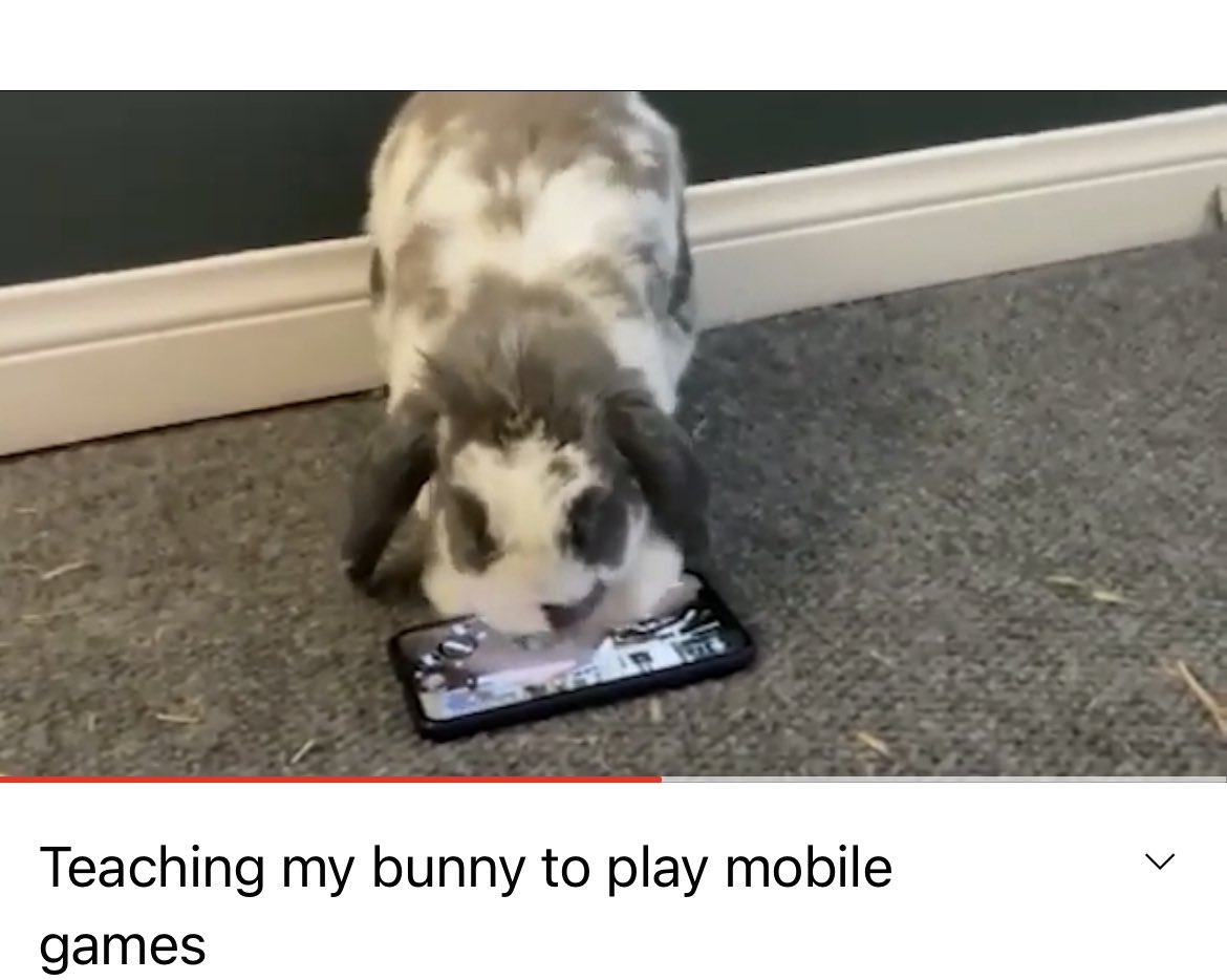 New video- youtu.be/UEclk0ProTM