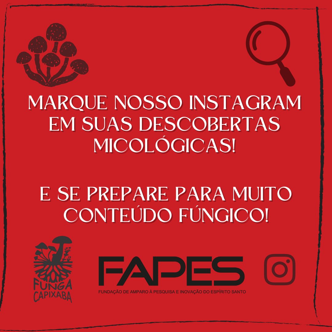 fungacapixaba's tweet photo. #Funga #FaunaFloraeFunga #Fungacapixaba #FAPES #edital12/2022 #fungo #micologia #divulgaçãocientifica #DC #extensão #UFES #projetodeextensão #espiritosanto #capixaba #educação #popularizaçãodaciência #fungi https://t.co/2IVR3es53d