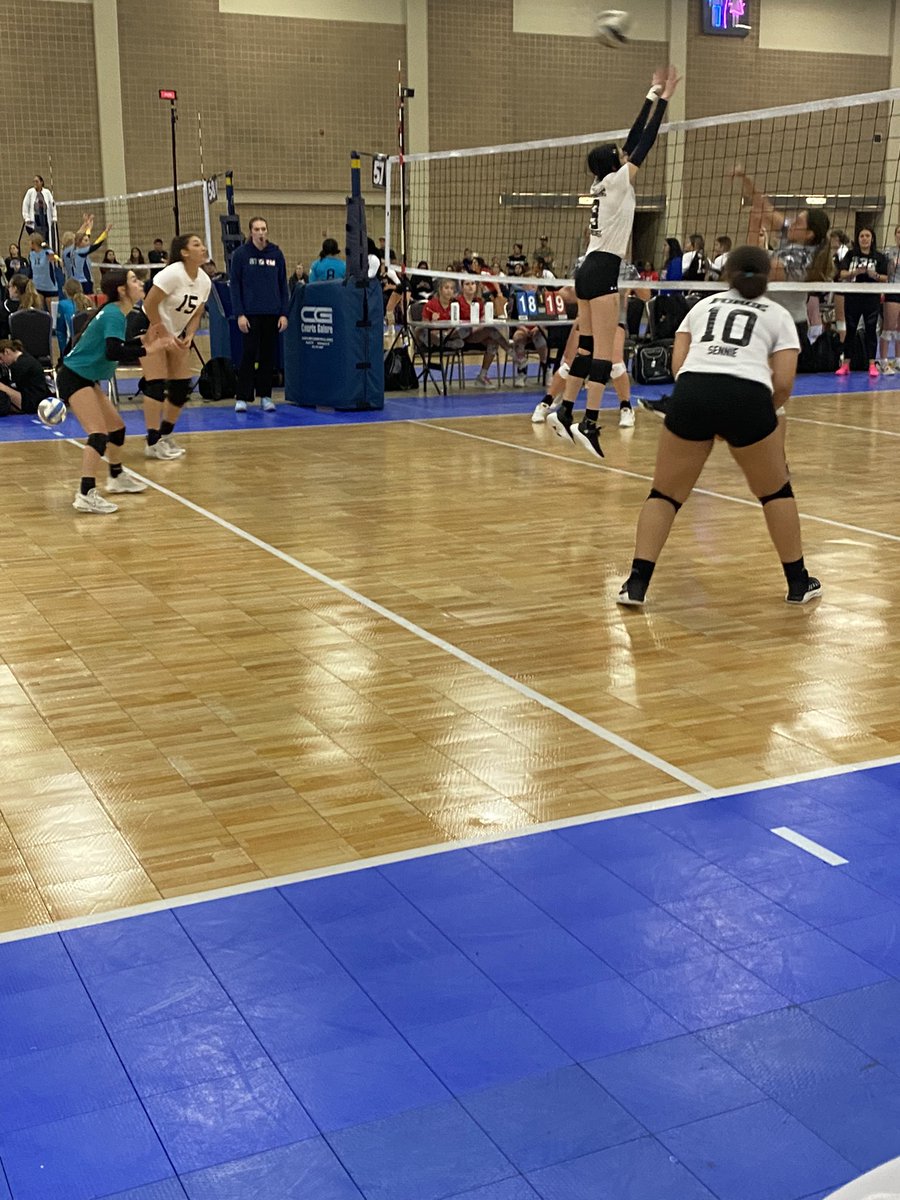 Brackenridge Volleyball tweet media