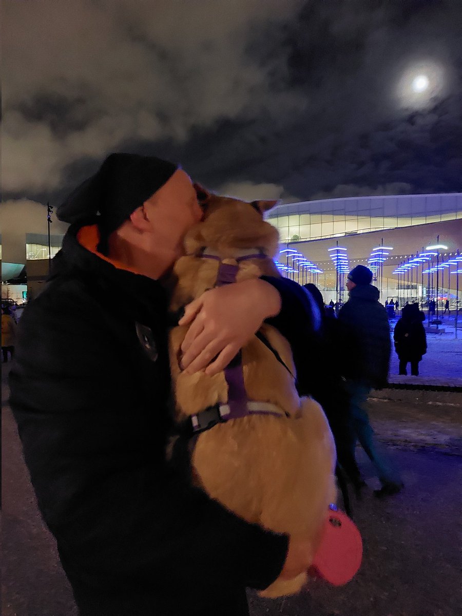 An evening walk through #Helsinki center & the festival of light, @luxhelsinki. My little paws got cold, so my human came to rescue.

#dog #dogsoftwitter #walking #winter #frozen https://t.co/JQtovhJj1S