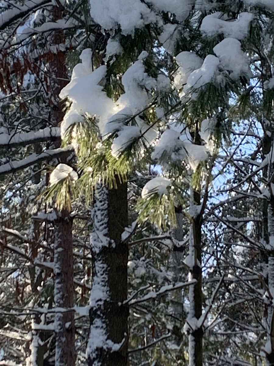 A beautiful day to #getoutside &amp; enjoy the snow ❄️