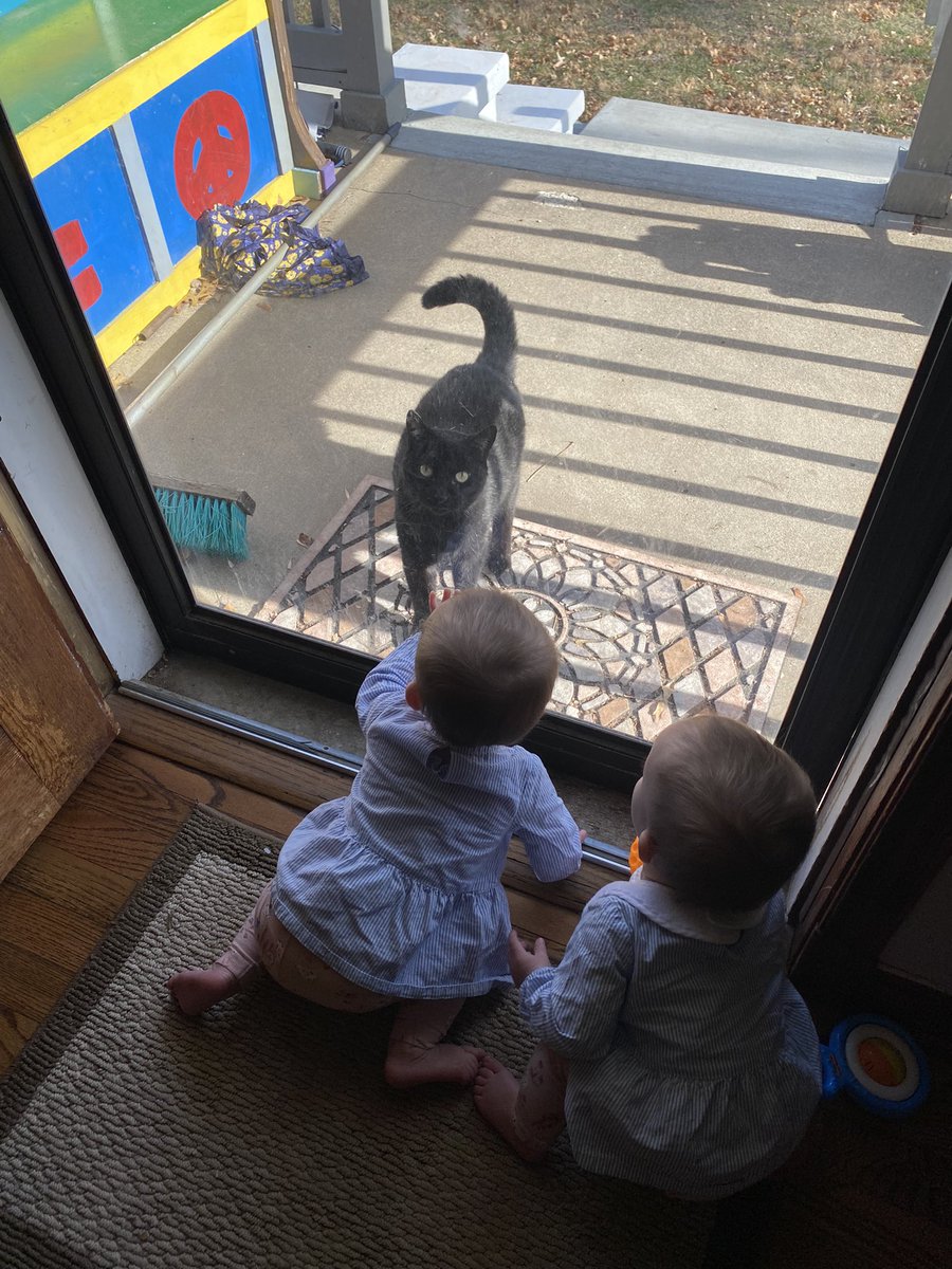 Twindad92's tweet photo. Our girls met the neighborhood cat. They wanted to play and he didn’t care lol. #Caturday #twinsisters #twindad https://t.co/DyVtGq7qWv