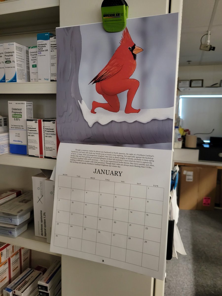 Joe Mama tweet media