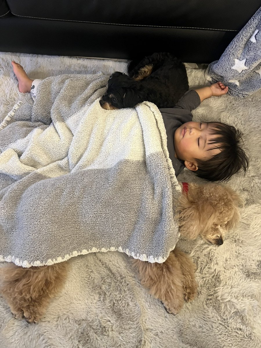 Tsubasa_0215's tweet photo. 可愛すぎな子達🫶❤️おやすみなさい🌙 https://t.co/ExOyA8BJIj