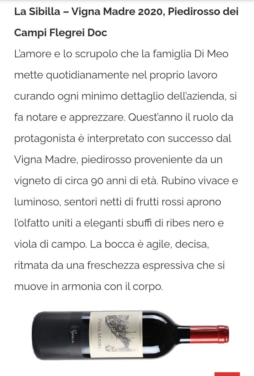 #Vignamadre 2020 #piedirosso dei #Campi Flegrei 
Un calice da assaggiare nel 2023