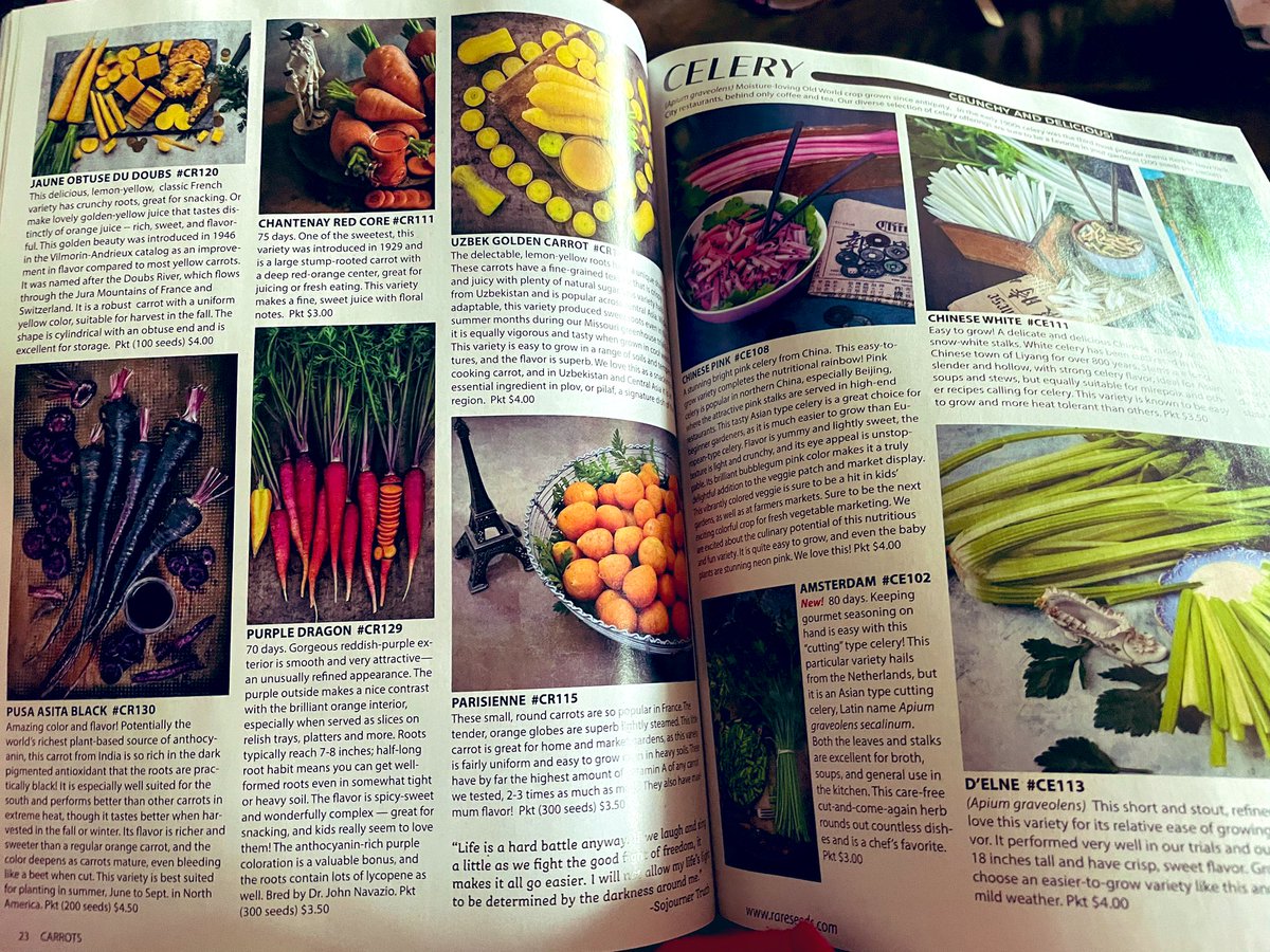 MrsAstrosCounty tweet media