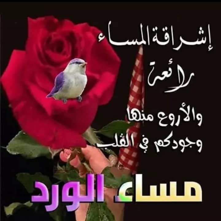 حمد (@md70622830) on Twitter photo 