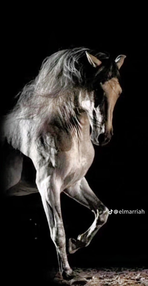 زين وقتٍ قبل خمس سنين فات
كنت أحب الضحك وأسولف كثير

وصار ضحكي والمزوح مجاملات
كل بسمه تنحت الضلع القصير

لا بغيت الحاجه تجيني ما جات
ياعسى في منعها خيره وخير

وقتنا هذا ما ندري وش آلسوات
كل شيٍ ما يصير أصبح يصير

عقب هذا ماعلى الدنيا طرات
علم الطمعان فيها يستخير

#شموخ_حرب