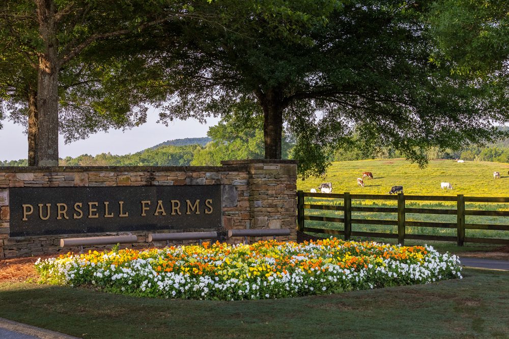SimplyBuckhead's tweet photo. ROMANCE PEAKS AT @PursellFarms 

This pastoral resort in Sylacauga, Alabama, is the idyllic winter getaway...

Pickup the latest issue of Simply Buckhead today, to read more!

#AlabamaGetaway #AlabamaVacation #SweetHomeAlabama #VisitAlabama #Bama #ExploreAlabama https://t.co/950TtJ98b6