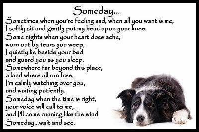 Logan Damien Oberholster tweet media