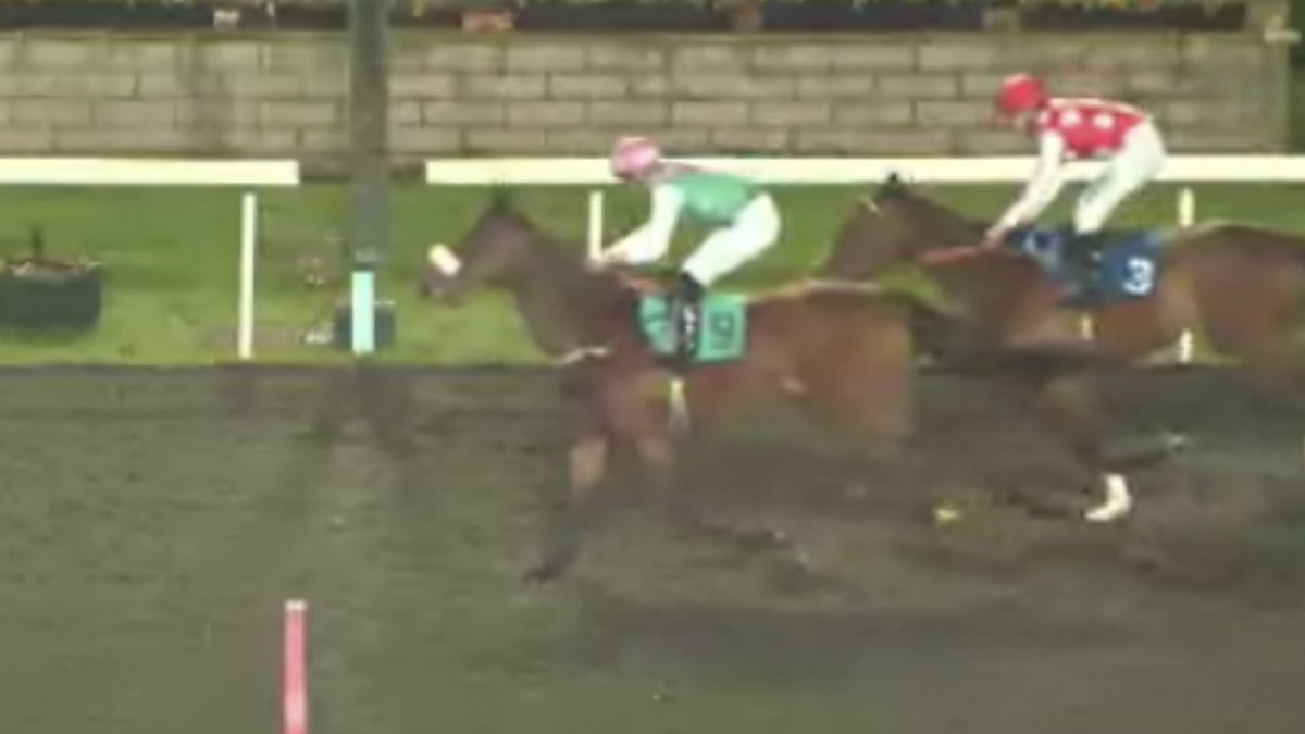 shugiehughie's tweet image. 3yo filly Floating Spirit by Charm Spirit x Zero Gravity ( Dansili ) Juddmonte bred wins on debut Kempton 7f #AndrewBalding #DavidProbert … The dam won on debut at Deauville as a 3yo as well … Cosy in the end