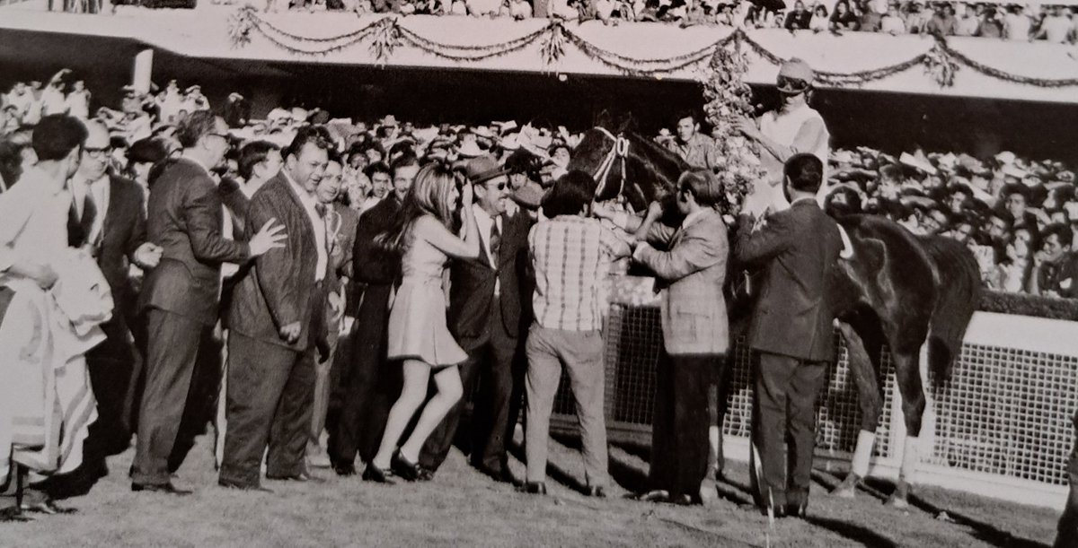 HORSERACING1002's tweet photo. TOLETE🇲🇽 1965
(TALGO II - RULANDRA BY RULERSHIP)#Tolete https://t.co/ifM6b9VIvX