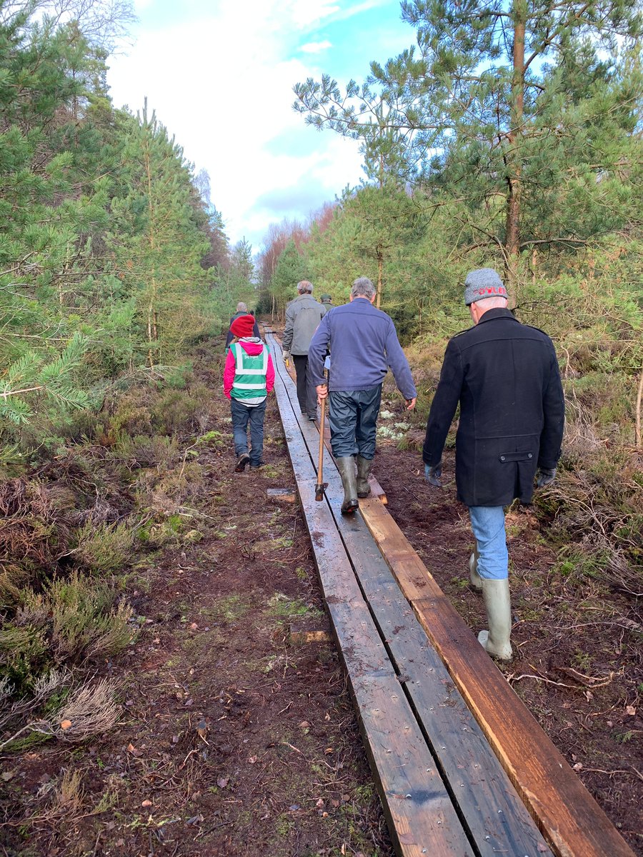 And we're off with 2023s infrastructure upgrade on #AbbeyleixBog with the widening of the first 300m of bog-bridge in the company of @philipbromwell @RTENewsIRE #climateheroes @forum_wetlands @CCWPeatlands @DeptHousingIRL @LIFEraisedbogs @MyAbbeyleix @Eurosite @WaterLANDS_EU