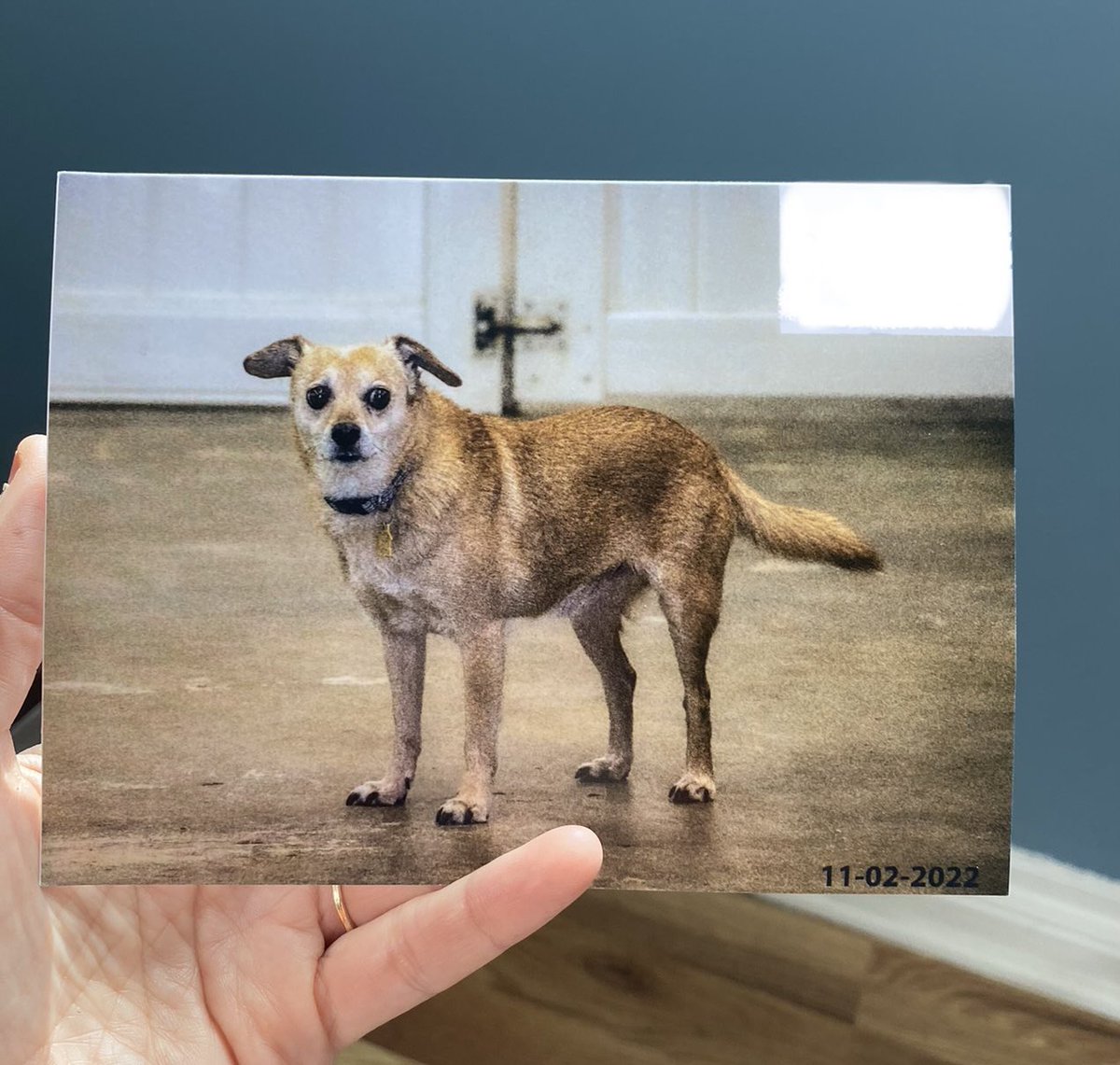 what's the logic?👷🏾( عبد الملك‎) on Twitter "RT minakimes The place