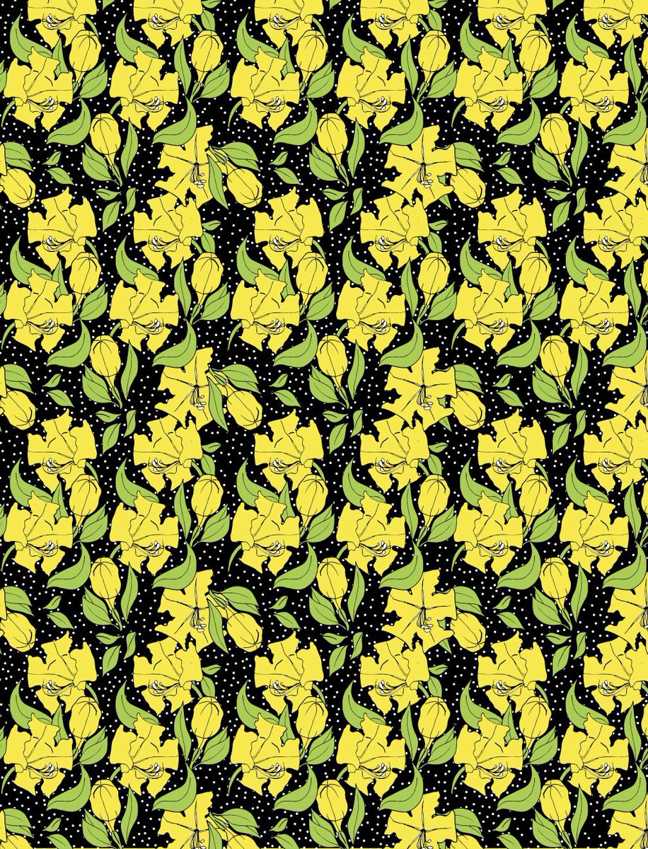 Of all the unique flowers that I’ve drawn the #solandra #grandiflora trumps them all! Also called the Cup of Gold Vine, this plant has #trumpet 🎺 like flowers. Green parts of the plant are highly toxic.

#patterndesigner #nanjaladesign #illustration #nairobikenya #surfacedesign