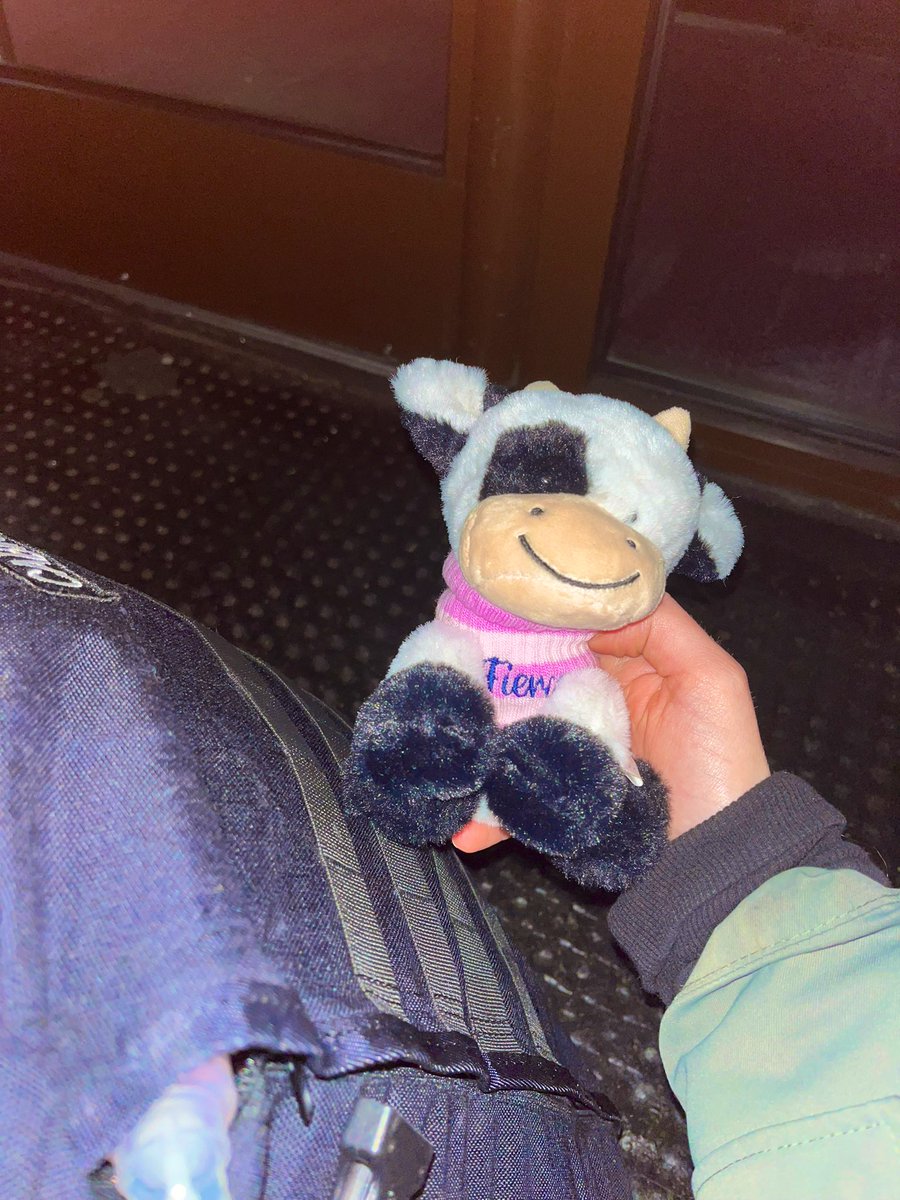 okokokaty's tweet photo. Ubiquitass in the queue for the show 🥰🥰🥰🥰 #The1975Brighton #bfiafl #the1975 #cowswearinmysweater #whenwearetogether https://t.co/dFMN6uoxkO