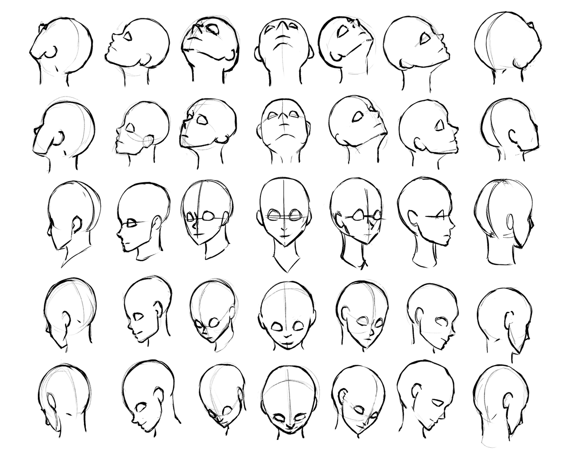 Pochikart's tweet photo. I'm on a training arc right now. #sketches #headangles https://t.co/u14rnAv0hV