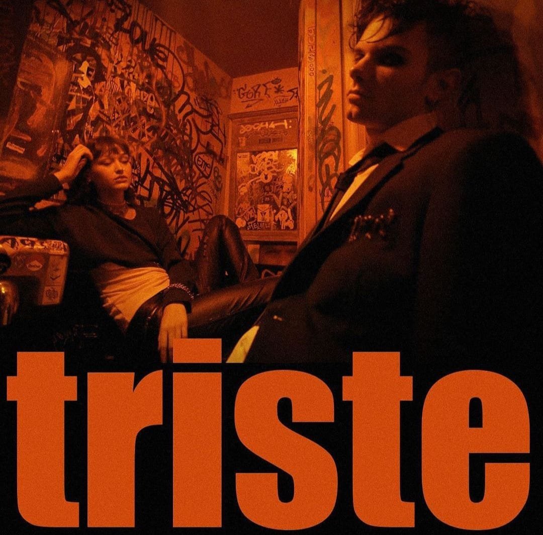 loudernowfr's tweet photo. "Triste et féroce", le second single de MDNS (@train_fantome) produit par Team Nowhere débarquera le vendredi 13 prochain.

#LouderNow #MDNS #Trap #Rock #RockFrançais #TN #TeamNowhere https://t.co/havz8hBId6